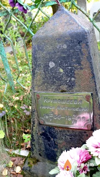 Кривошеева Лариса Анатольевна