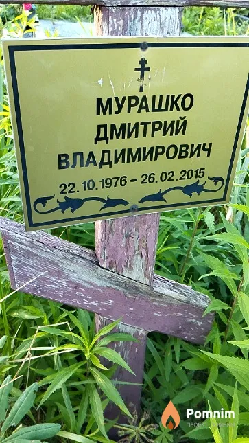 Мурашко Дмитрий Владимирович