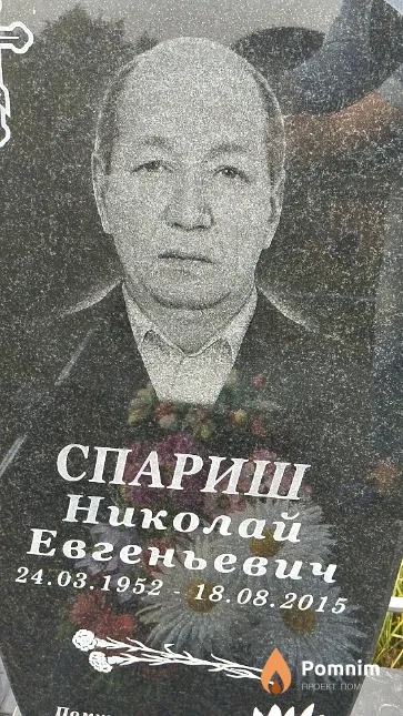 Спариш Николай Евгеньевич