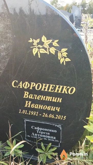 Сафроненко Валентин Иванович