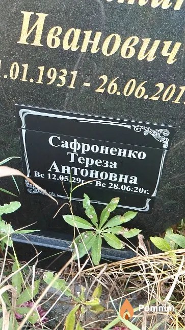 Сафроненко Тереза Антоновна