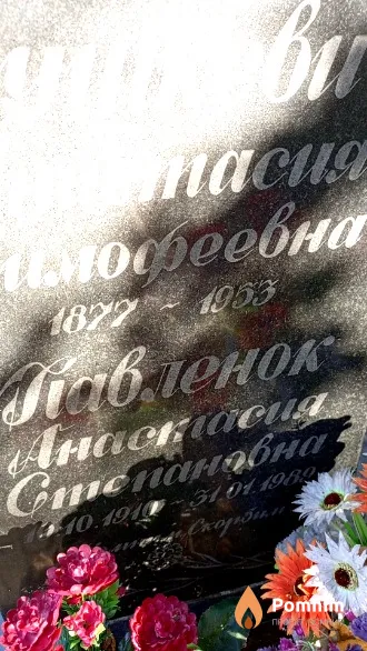 Павленок Анастасия Степановна