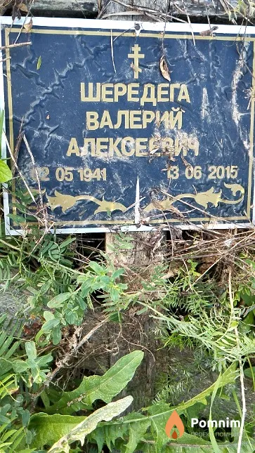 Шередега Валерий Алексеевич