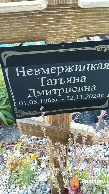 Невмержицкая Татьяна Дмитриевна