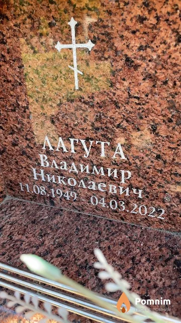 Лагута Владимир Николаевич