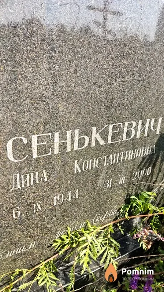 Сенькевич Дина Константиновна