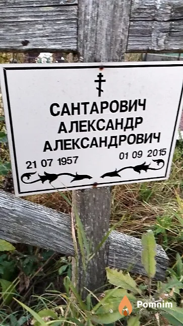 Сантарович Александр Александрович