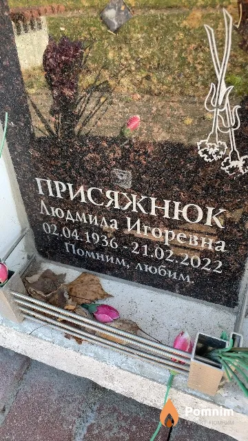 Присяжнюк Людмила Игоревна