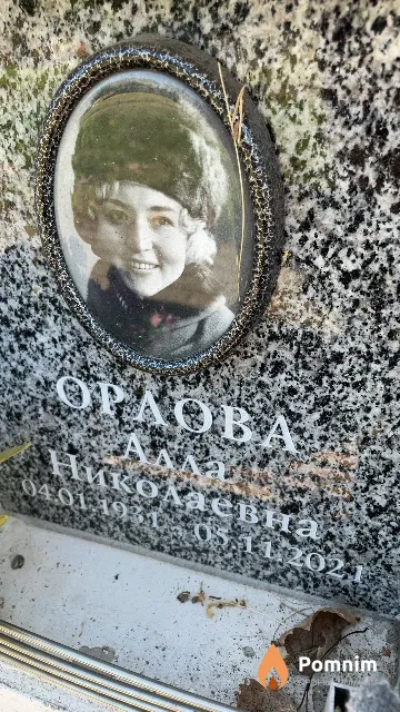 Орлова Алла Николаевна