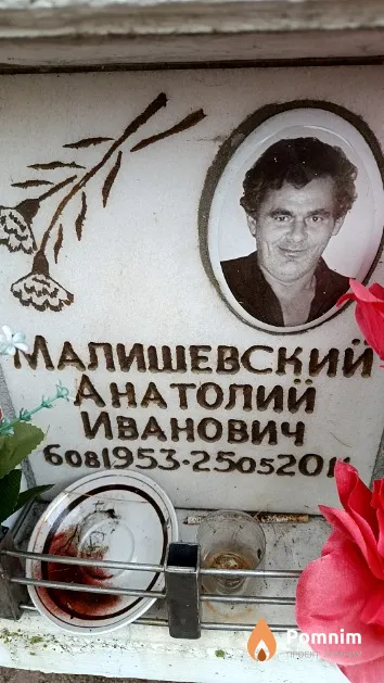 Малишевский Анатолий Иванович