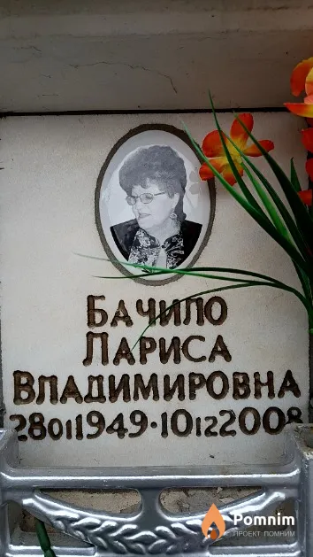 Бачило Лариса Владимировна