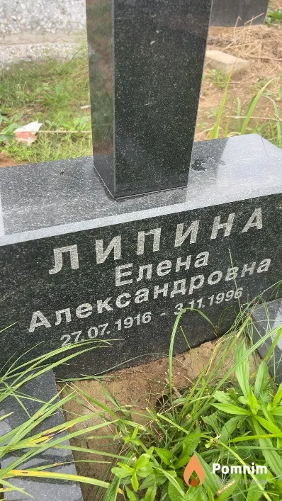 Липина Елена Александровна