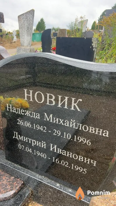 Новик Дмитрий Иванович