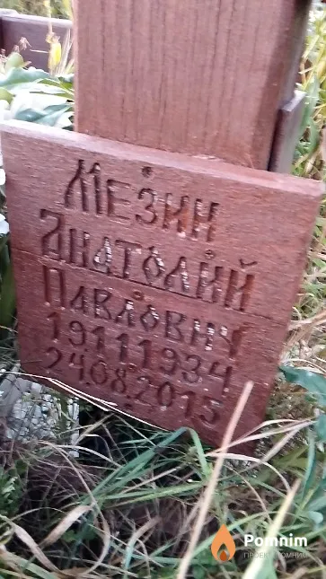 Мезин Анатолий Павлович