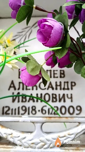 Шмелев Александр Иванович