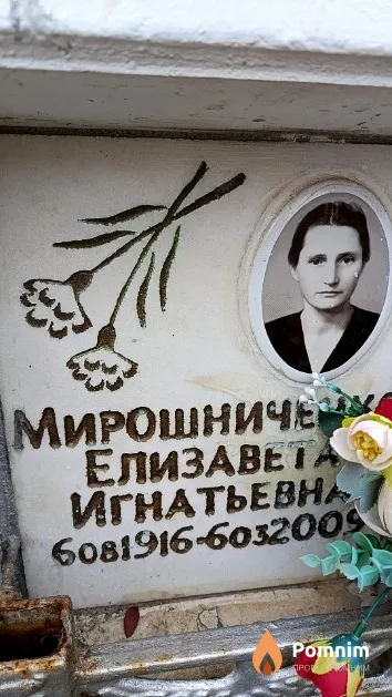 Мирошниченка Елизавета Игнатьевна