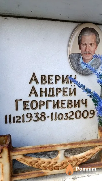 Аверин Андрей Георгиевич