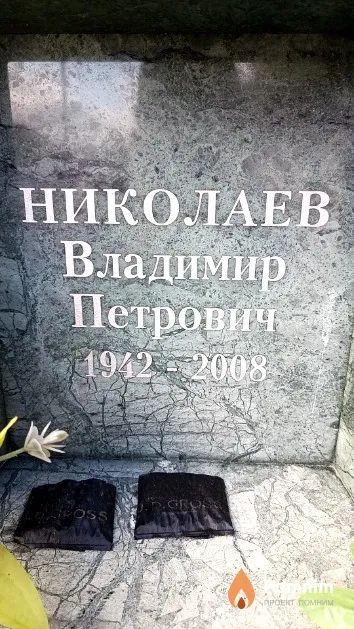 Николаев Владимир Петрович