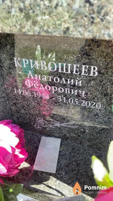Кривошеев Анатолий Фёдорович
