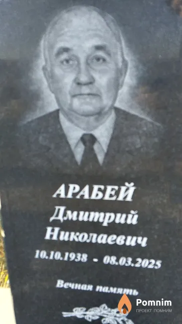 Арабей Дмитрий Николаевич