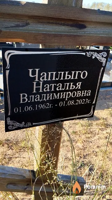 Чаплыго Наталья Владимировна