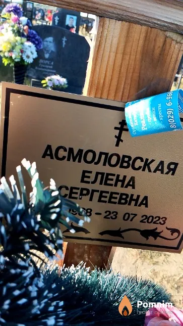 Асмоловская Елена Сергеевна