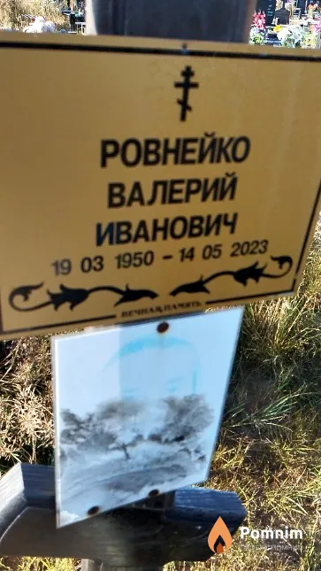 Ровнейко Валерий Иванович