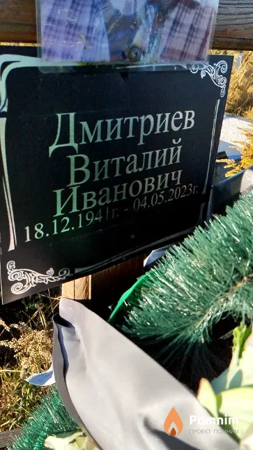 Дмитриев Виталий Иванович