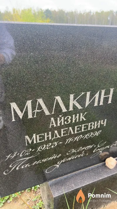 Малкин Айзик Менделеевич