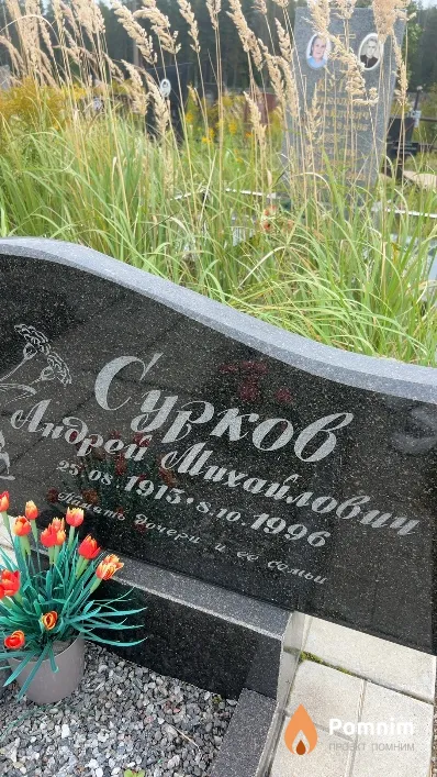 Сурков Андрой Михайлович