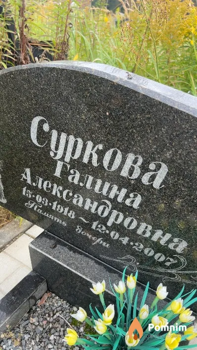 Суркова Галина Александровна