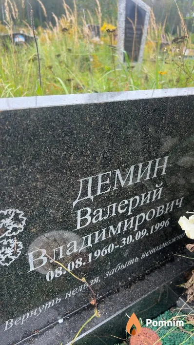 Демин Валерий Владимирович