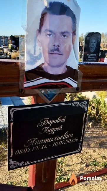 Боровой Андрей Анатольевич
