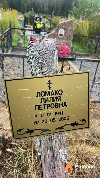 Ломако Лилия Петровна