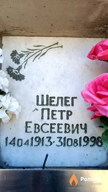 Шелег Петр Евсеевич