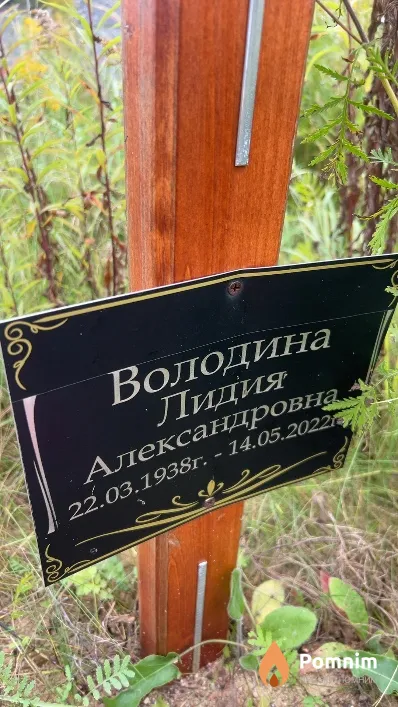 Володина Лидия Александровна