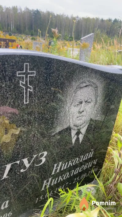 Гуз Николай Николаевич
