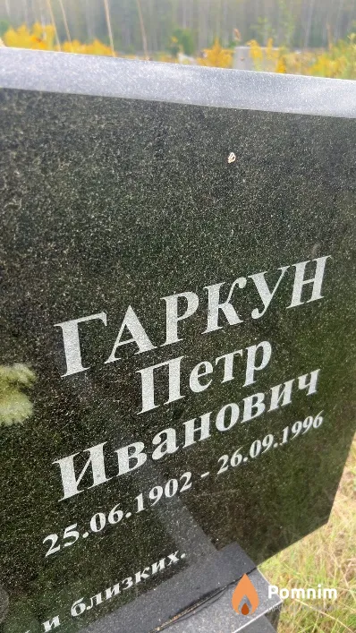 Гаркун Петр Иванович