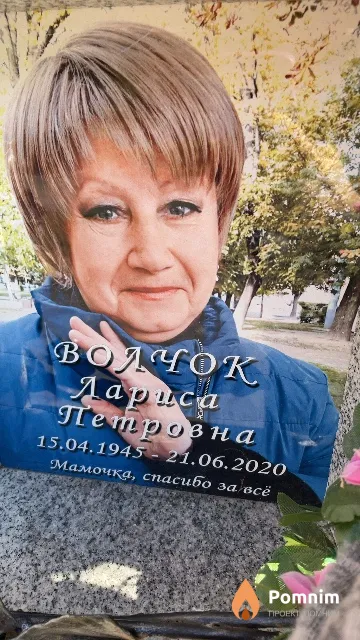 Волчок Лариса Петровна