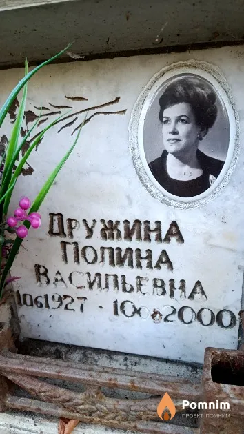 Дружина Полина Васильевна