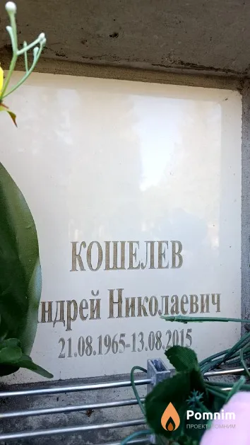 Кошелев Андрей Николаевич