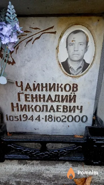 Чайников Геннадий Николаевич