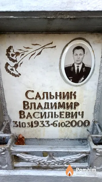 Сальник Владимир Васильевич
