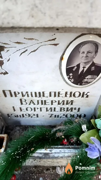 Прищепёнок Валерий Георгиевич