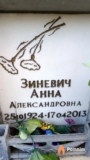 Зиневич Анна Александровна