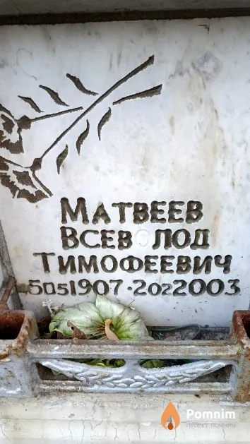 Матвеев Всеволод Тимофеевич