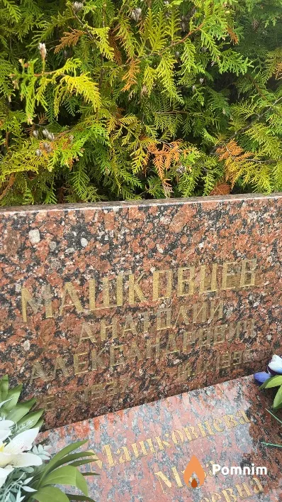 Машковцев Анатолий Александрович
