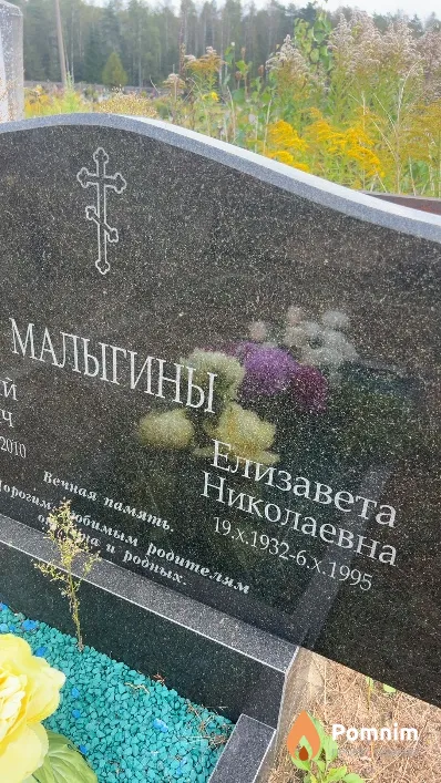 Малыгина Елизавета Николаевна