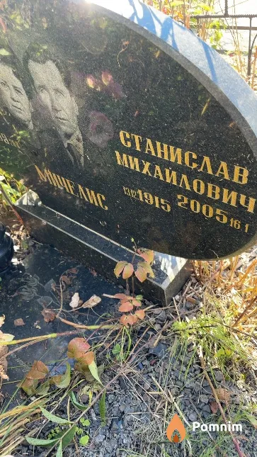 Мичелис Станислав Михайлович