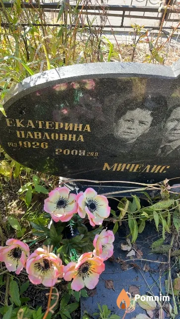 Мичелис Екатерина Павловна